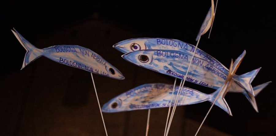 Sardine